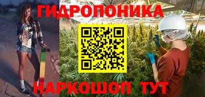 крисы Нягань