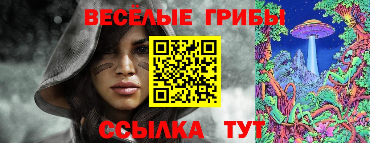 Галлюциногенные грибы MAGIC MUSHROOMS  Вход с VPN  Топки  наркота  Галлюциногенные грибы мицелий 